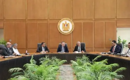 وزير التعليم العالي يناقش تعزيز الاستفادة من خبرات الباحثين العائدين من اليابان
