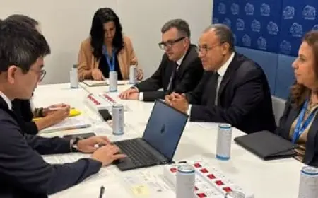 وزير الخارجية يعزز التعاون التنموي والاستثماري مع جايكا اليابانية