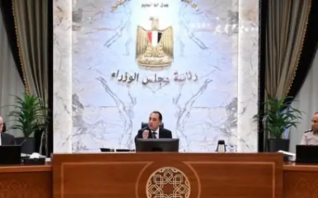 قرارات حاسمة من مجلس الوزراء تعيد تشكيل قطاع النقل وتعزز الاستثمار والمشروعات اللوجستية