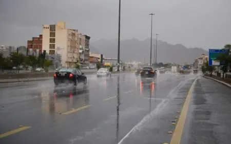 توقعات الطقس ليوم الجمعة: هطول أمطار متفاوتة الشدة ورياح نشطة تجتاح معظم المناطق