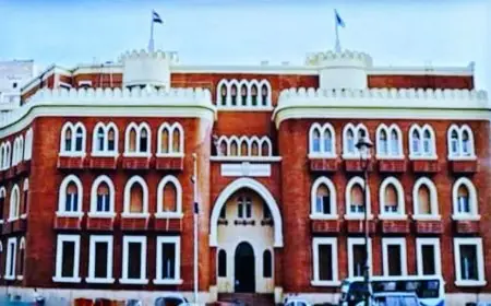 اشتباك حاد بين طلاب كلية التربية النوعية بالإسكندرية داخل الحرم الجامعي بسبب أولوية الجلوس