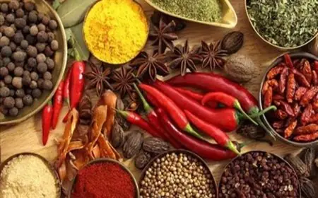 تحذير هام حول كيفية حفظ الأغذية وصلاحيتها في المنزل