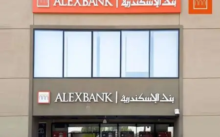 فرص عمل مميزة في بنك الإسكندرية لعام 2026 الشروط وطريقة التقديم