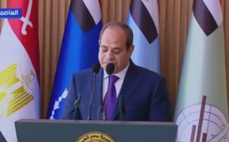 الرئيس السيسي يعبر عن امتنانه للسعودية والإمارات والكويت ويدعو لتحية عسكرية لها