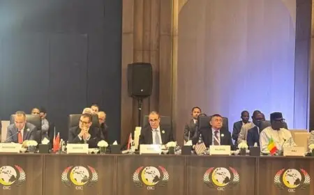 وزير الخارجية المصري يلقي بكلمة هامة في الدورة ٥٢ لاجتماعات منظمة التعاون الإسلامي