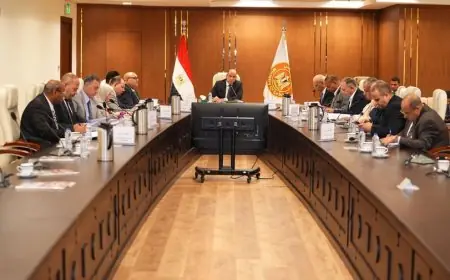 وزير العمل يقود اجتماع صندوق تمويل التدريب والتأهيل بإجمالي مساهمات تبلغ 399.5 مليون جنيه