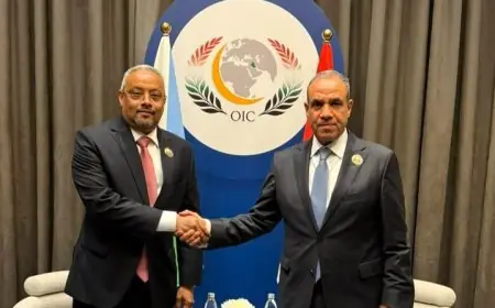 لقاء حاسم بين وزير الخارجية ونظيره الجيبوتي لبحث تعزيز العلاقات الثنائية ومستجدات الساحة الإقليمية