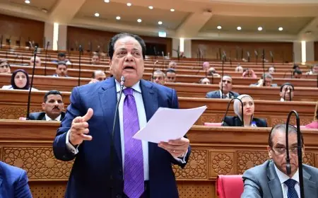 أبو العينين: مصر تدعم الأشقاء ورسائل الرئيس السيسي حول أمن السعودية والخليج حاسمة وواضحة