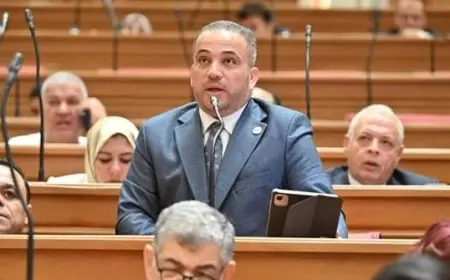 اكتشف الملفات الساخنة في منتدى مصر 2026 مع النائب هاني شحاتة