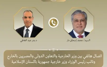 مباحثات بين وزير الخارجية ونظيره الباكستاني لتخفيف التوتر واستعادة الهدوء في المنطقة