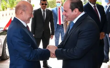 إشادة رئيس مجلس القيادة اليمني بالموقف الشجاع لمصر في دعم اليمن