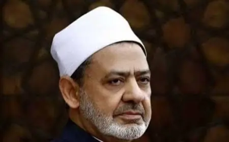 سعيد حجازي: مبادرة شيخ الأزهر للوساطة وسيلة فعالة لإنهاء الحروب وتقريب وجهات النظر العربية