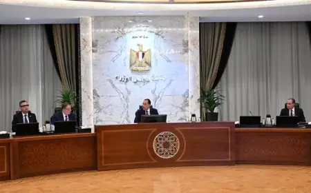 الإعلان عن منصة شات EGYPT الجديدة لمكافحة الشائعات في جلسة مجلس الوزراء