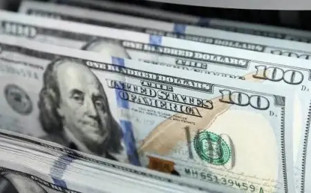 تعرف على سعر الدولار اليوم بعد التغير الأخير في الأسواق الاقتصادية