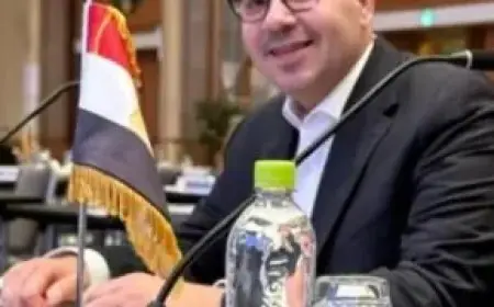 صناعة الأبطال في مصر الأوليمبية بفكر الجمهورية الجديدة: إدريس رئيسًا للشركة والجندي عضوا منتدبا