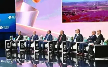 وزير الكهرباء يكشف عن توفير أكثر من 65 مليار متر مكعب من الغاز الطبيعي في منتدى مصر