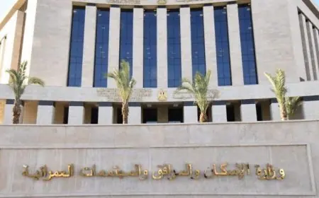 وزيرة الإسكان تصدر 4 قرارات لإزالة المخالفات ومتابعة نتائج الحملات في المدن الجديدة