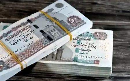 تعرف على موعد صرف معاشات نوفمبر 2026 وكيفية الاستعلام عن أماكن الصرف