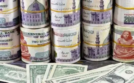 ارتفاع سعر الدولار أمام الجنيه بأكثر من 92 قرشًا في ختام التعاملات اليوم