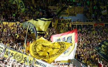 اجذب دورتموند جماهيره لإطفاء هواتفهم في مباريات الدوري الألماني
