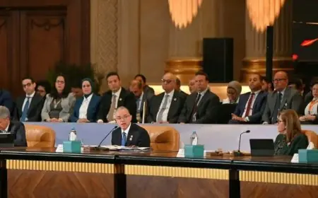 وزير الاستثمار يعلن عن تسهيل دخول المستثمرين الأجانب إلى السوق المصرية عبر تأسيس الشركات إلكترونياً