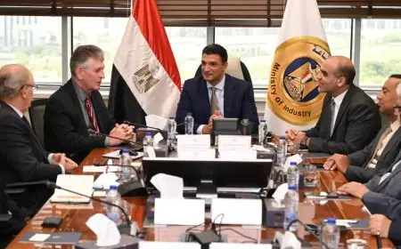 وزير الصناعة يعزز الشراكة مع البرازيل واليابان لنقل تكنولوجيا القوالب والإسطمبات إلى مصر