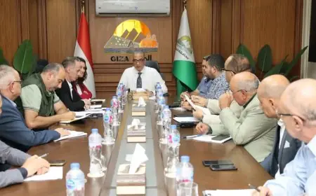 محافظ الجيزة يستعرض حلول فورية لحل تعارض المرافق مع مشروعات الرصف في حدائق الأهرام