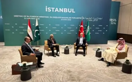 وزير الخارجية يشارك في قمة وزراء خارجية مجموعة R4 في إسطنبول