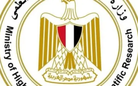 تفاصيل تحول التعليم العالي والبحث العلمي في مصر منذ 2014: 12 عامًا من التطوير الشامل