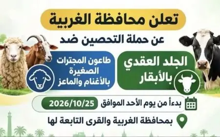 محافظة الغربية تستعد لانطلاق الحملة القومية الثانية لتحصين الماشية ضد الأمراض الوبائية غدًا الأحد