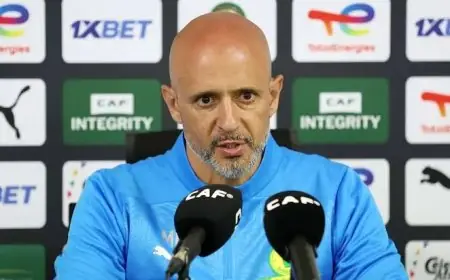 مدرب صن داونز يعترف بالفشل بعد الإقصاء الأفريقي ويؤكد: أضعنا فرص التأهل بأنفسنا