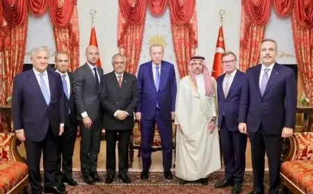 لقاء مثمر بين وزير الخارجية والرئيس التركي