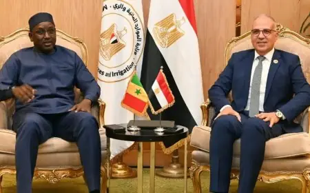 وزير الري يعلن عن شراكة مصرية سنغالية لتعزيز الأمن المائي والتنمية المستدامة في أفريقيا