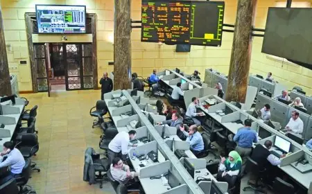 هبوط كارثي يضرب البورصة المصرية إيقاف التداول بعد تراجع مؤشر EGX100 بنسبة 10%