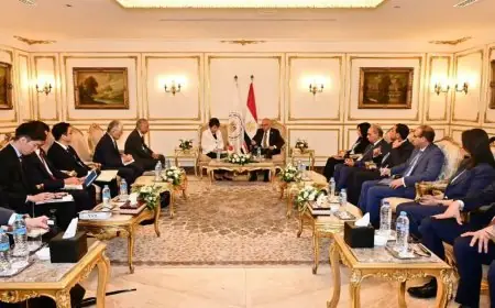 وزير الري يثني على التعاون الفني المصري الياباني في أسبوع القاهرة التاسع للمياه