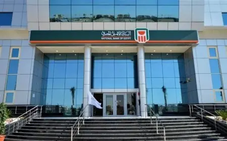 كل ما تحتاج معرفته عن شهادات البنك الأهلي 2026: العائد والحد الأدنى للشراء