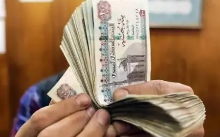 تعرف على أعلى شهادات ادخار في البنوك لعام 2026 قبل اجتماع البنك المركزي