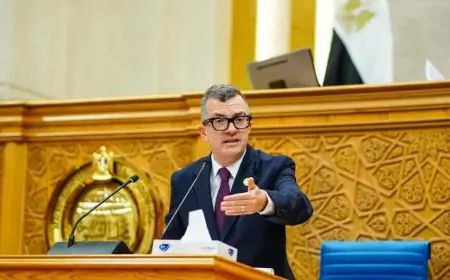 وزير التخطيط يكشف أمام الشيوخ عن تسوية مديونيات بقيمة 401.9 مليار جنيه لبنك الاستثمار القومي