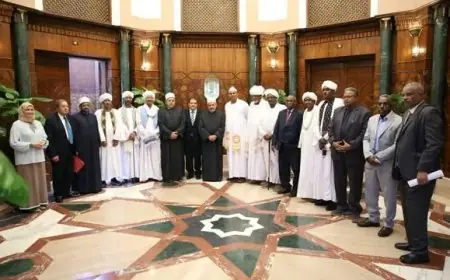 شيخ الأزهر يوجه رسالة هامة للشعب السوداني: احفظوا وحدة بلادكم