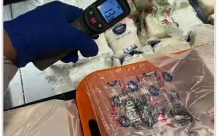 ضبط 293 قطعة غذائية منتهية الصلاحية في منشأة بحي الشرق ببورسعيد