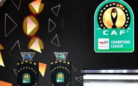 اكتشف مستويات قرعة دوري أبطال أفريقيا اليوم بمشاركة الزمالك وبيراميدز