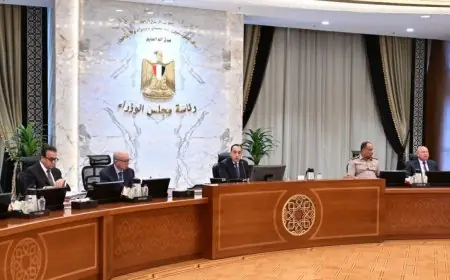 قريبًا وزارة التعليم العالي تكشف عن زيادات جديدة لأعضاء هيئة التدريس بالجامعات