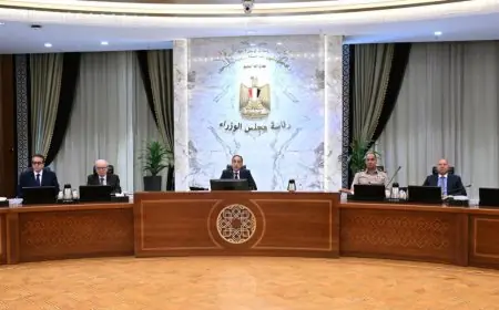 مجلس الوزراء يصادق على شروط مبادرة دعم التحول للطاقة الشمسية في القطاع الصناعي