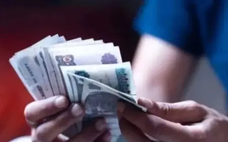 أفضل شهادات الادخار في البنك الأهلي وبنك مصر: تفاصيل العائد وفترات الاستثمار