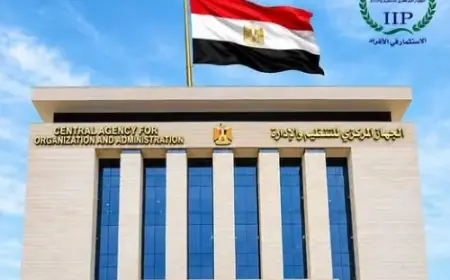 نقل 1799 موظفا إلى جهات منتدبين إليها بقرار من التنظيم والإدارة