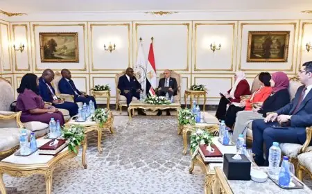 وزير الري يعقد اجتماعا حاسما مع وزير الطاقة والهيدروليكا الكونغولي لتعزيز التعاون في الموارد المائية