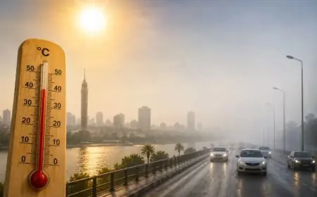 الأرصاد تحذر من الشبورة وأمطار محتملة يوم الجمعة في مناطق مختلفة