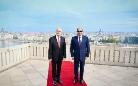 الرئيس السيسي ورئيس المجر يناقشان تعزيز التعاون في الاقتصاد والأمن والسياحة