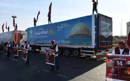 التحالف الوطني يرسل القافلة الـ14 لغزة: 100 شاحنة لدعم الحياة بـ1400 طن مساعدات