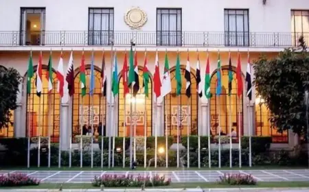 أبو الغيط يوضح سبب إبقاء مقر الجامعة العربية في القاهرة ويشدد على أن نقلها للعاصمة الجديدة يتعارض مع الميثاق